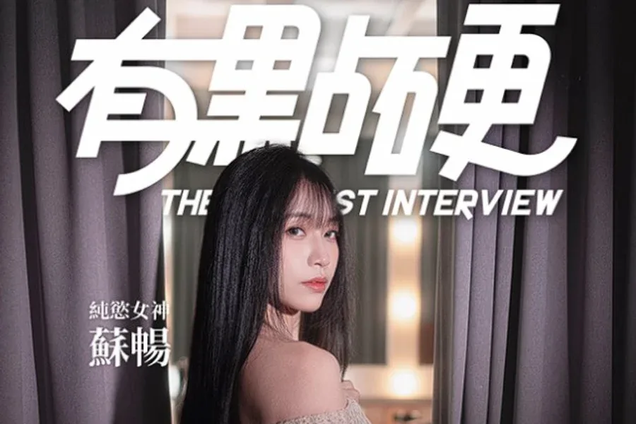 这个面试有点硬 (3) 版本内容 玩法截图